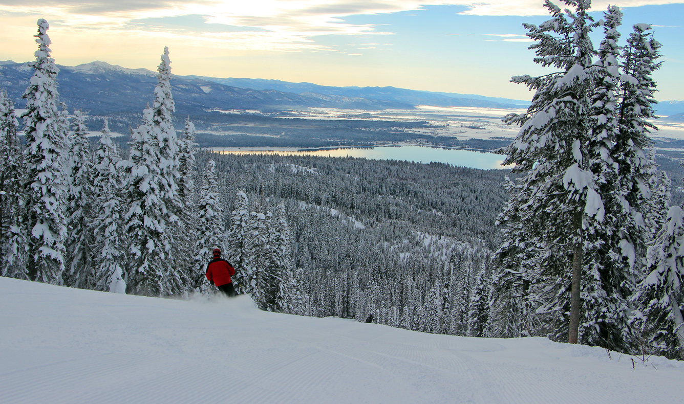 powder view