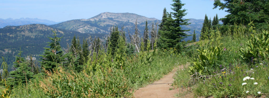 Summer shot of Elk Trail with Granite Mountain in background