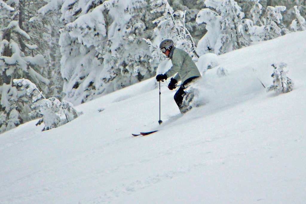 powder ski