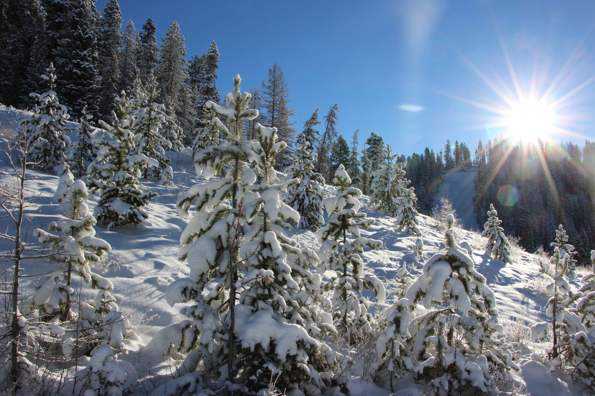 sunshine and snow
