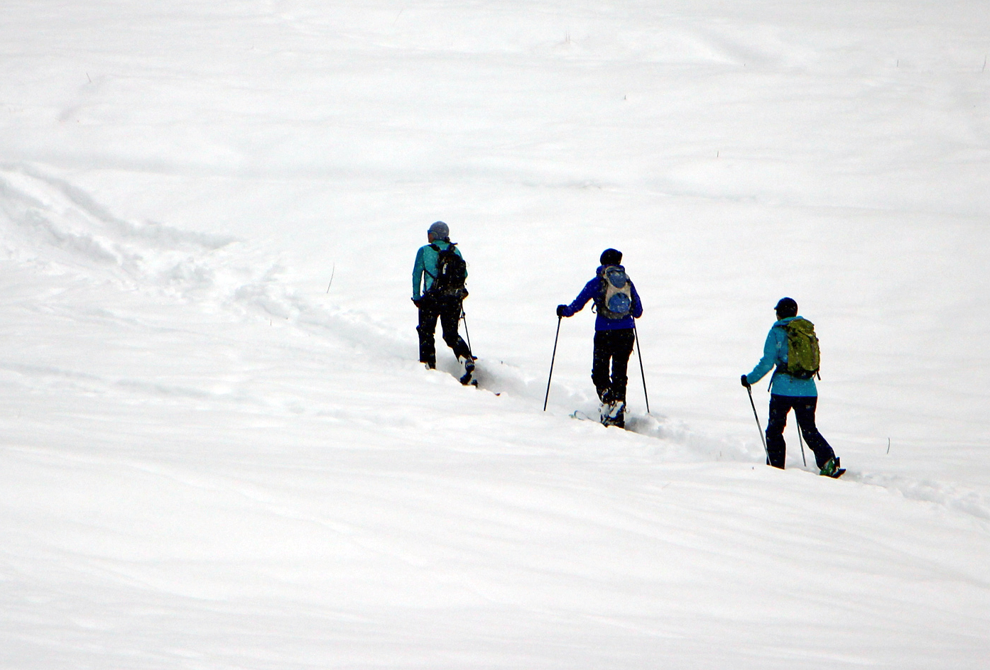 uphill skinners