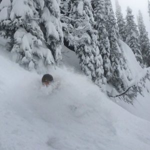 Neck deep powder in the trees