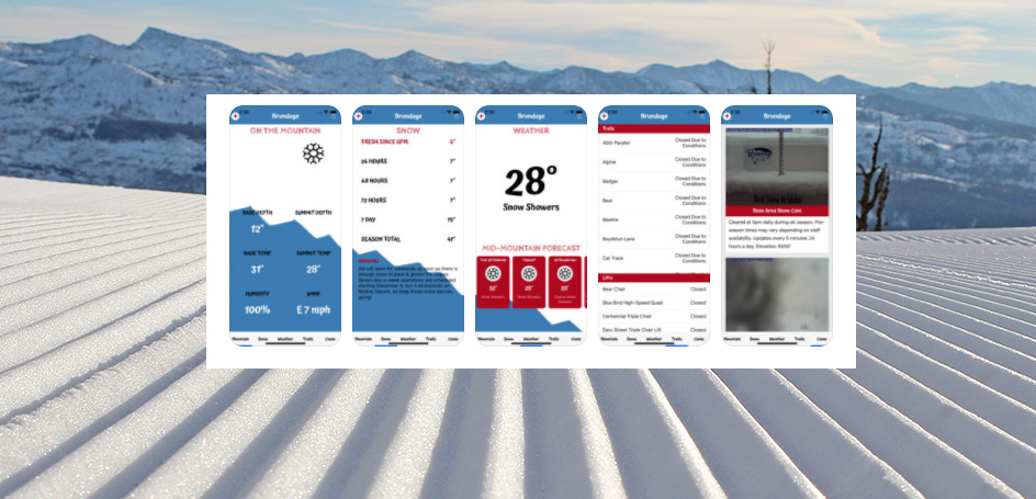 Mobile App Screenshot