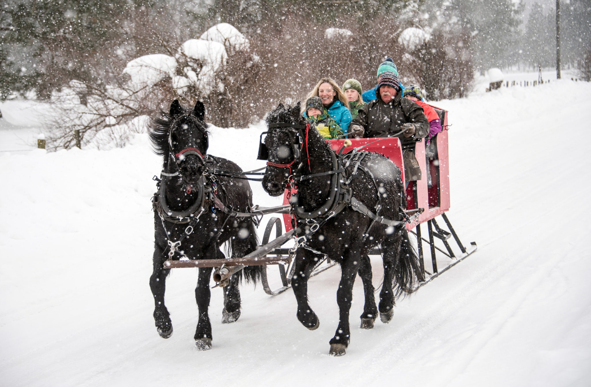 All Aboard! McCall’s Activity Barn Offers HorseDrawn Sleigh Rides this