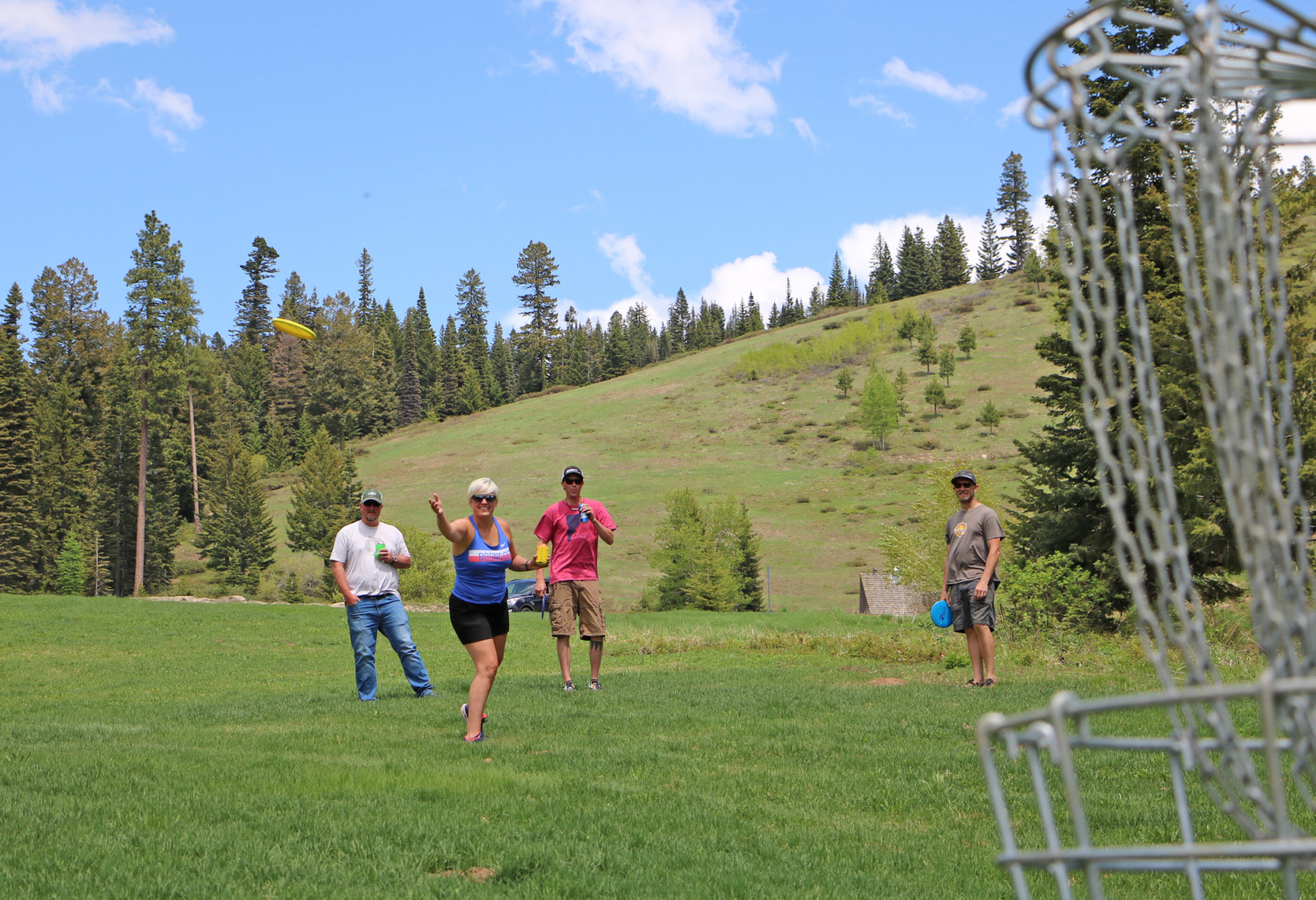 Four friends play disc golf
