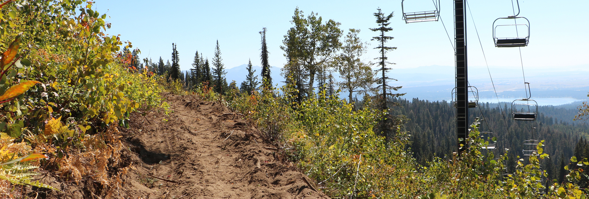 mountain bike trail under construction