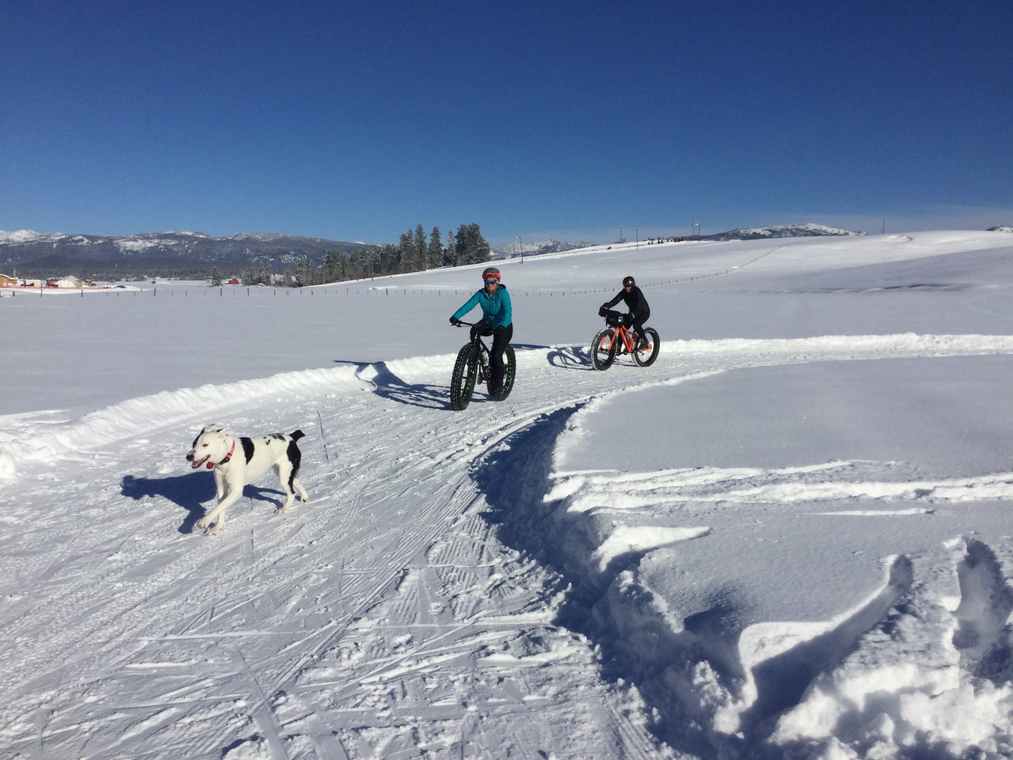 Fat Biking on Dog Friendly Nordic Trail
