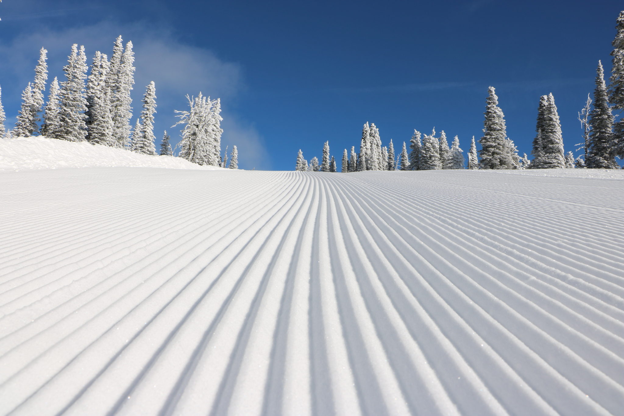 PistenBully Corduroy