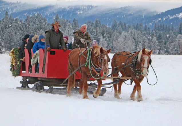 horse drawn sleigh ride