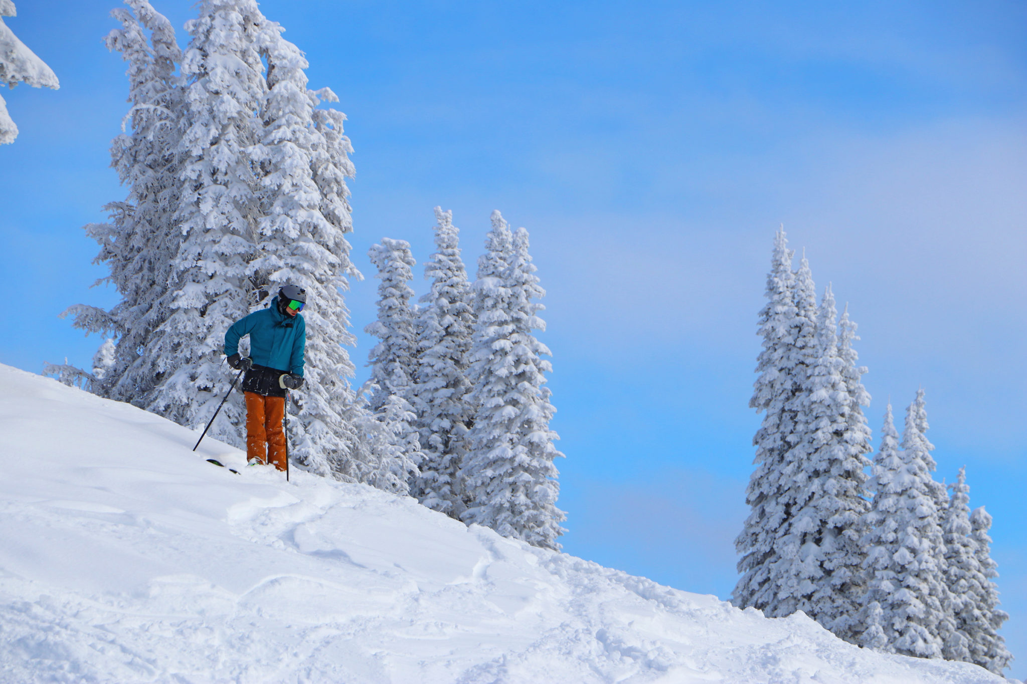 Skier sopped, looking down powdery slope on sunny day