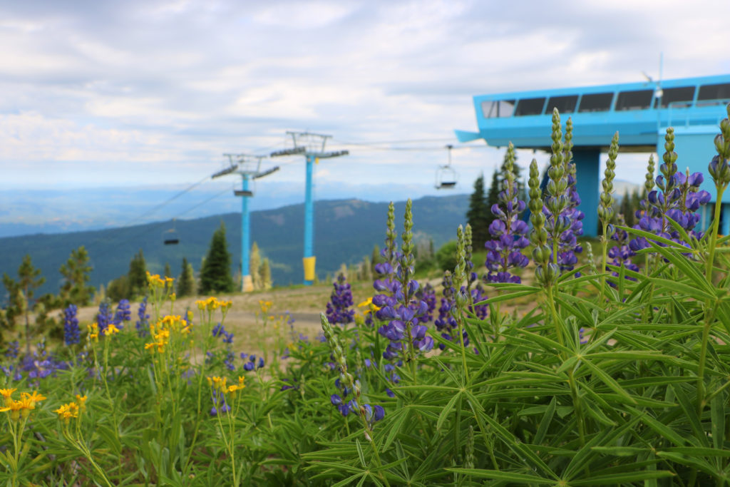 brundage bike park