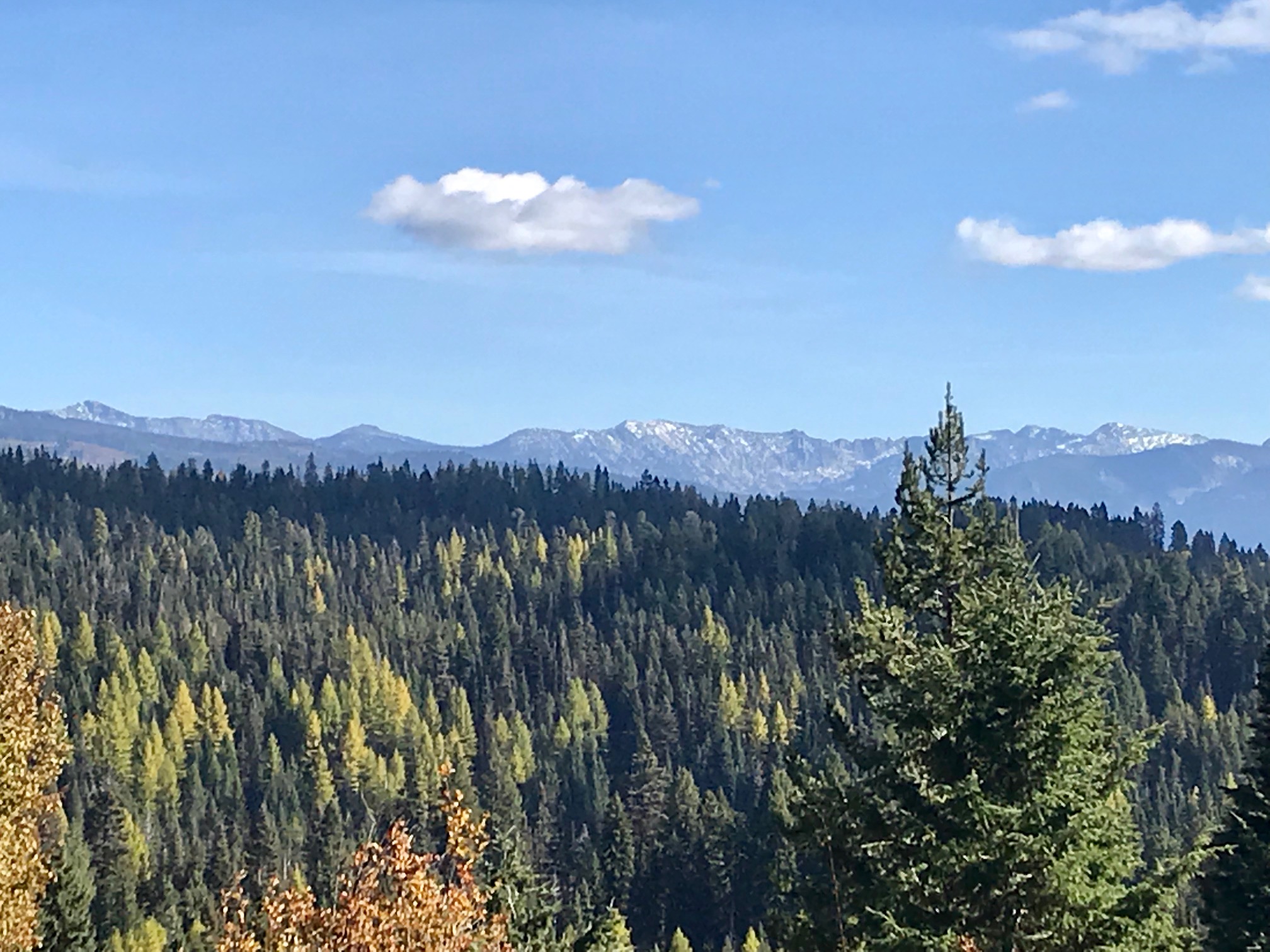 brundage mountain bike trail map