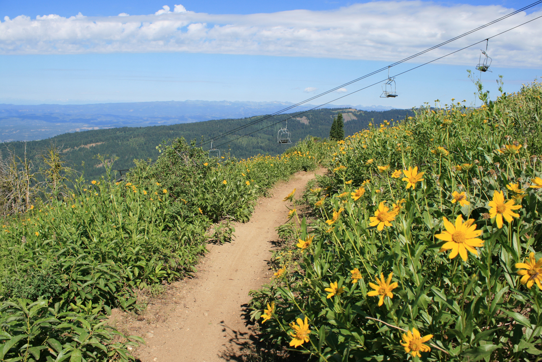 brundage mountain bike park