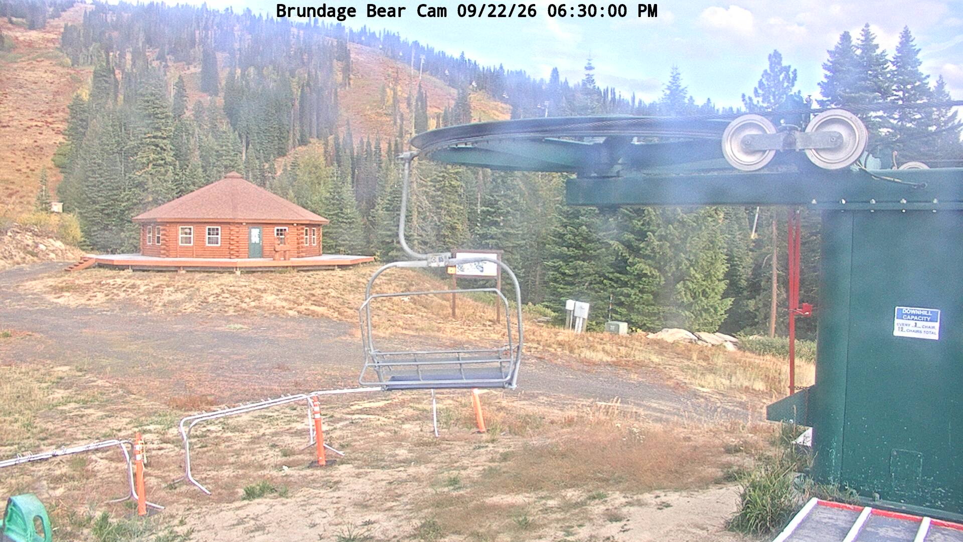 Bear Cam