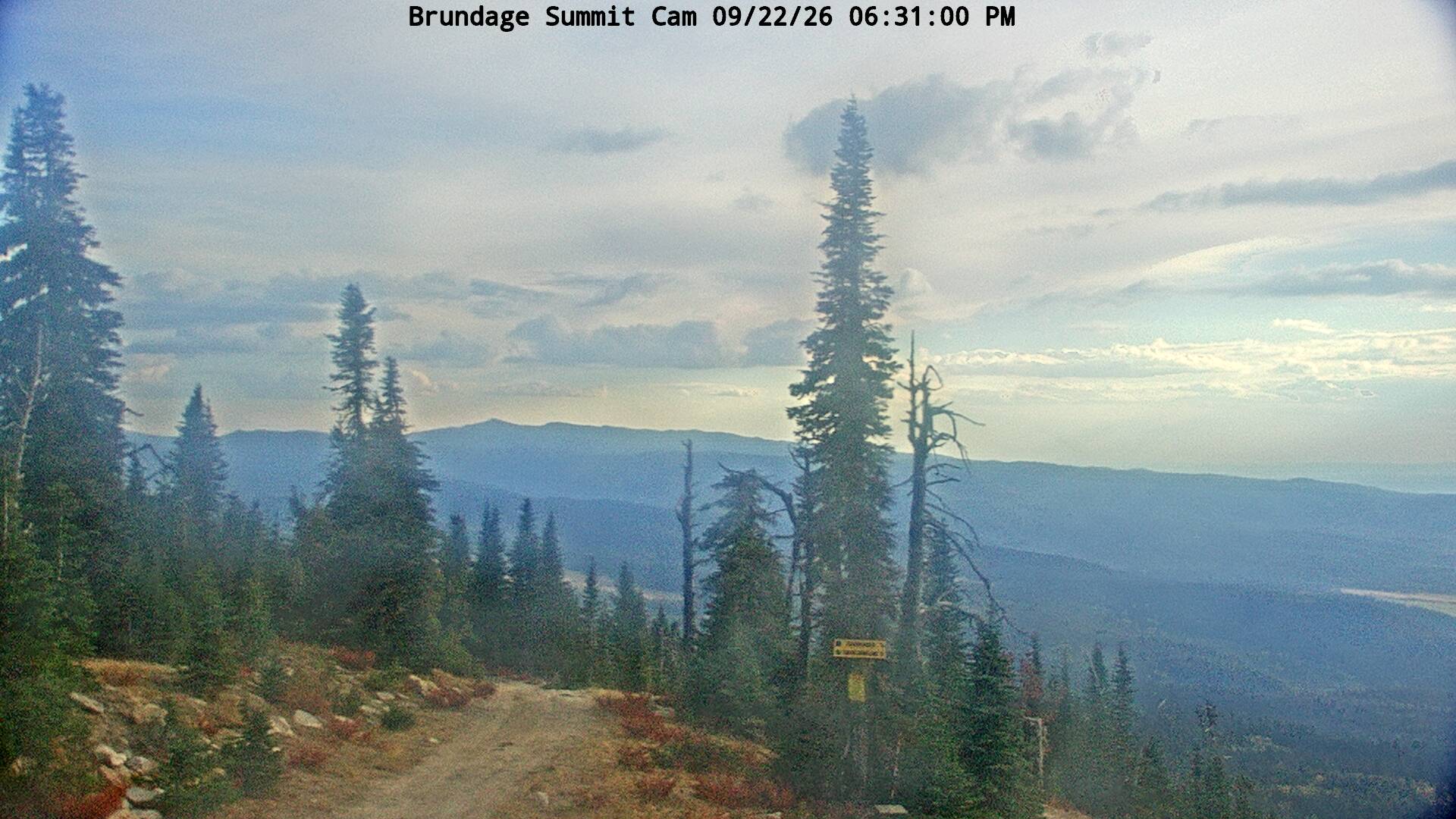 Top Bird Cam