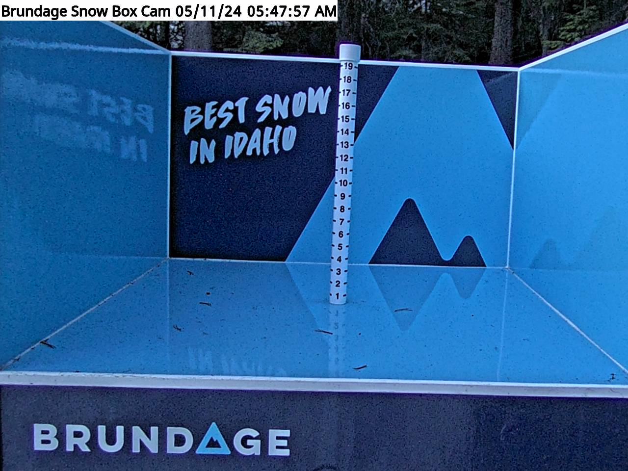 Base Area Snow Cam