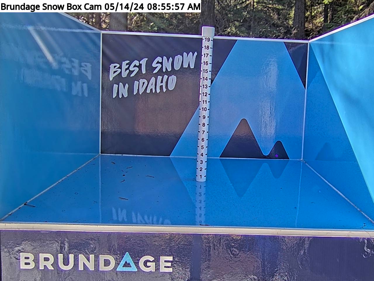 Base Area Snow Cam