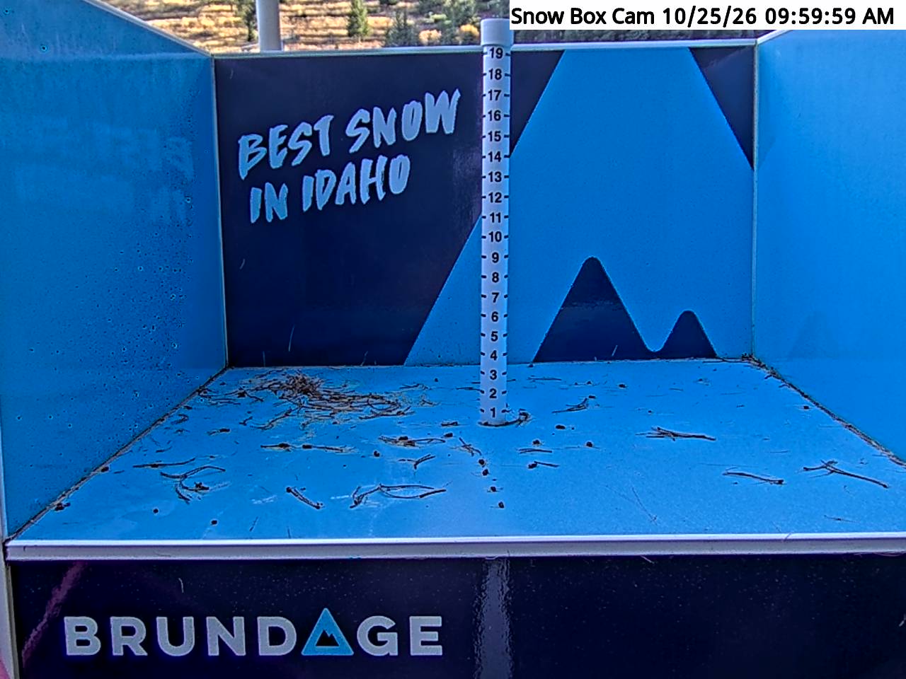 Base Area Snow Cam
