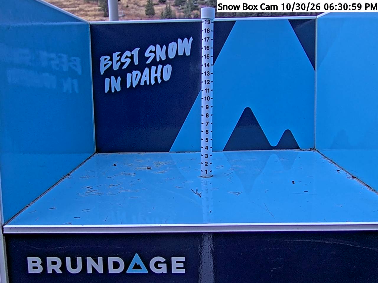 Base Area Snow Cam