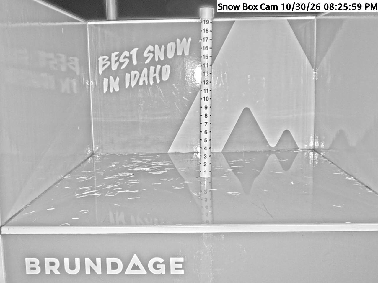 Base Area Snow Cam